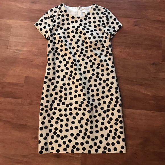 J. Crew Dresses & Skirts - J. Crew Polka Dot Dress